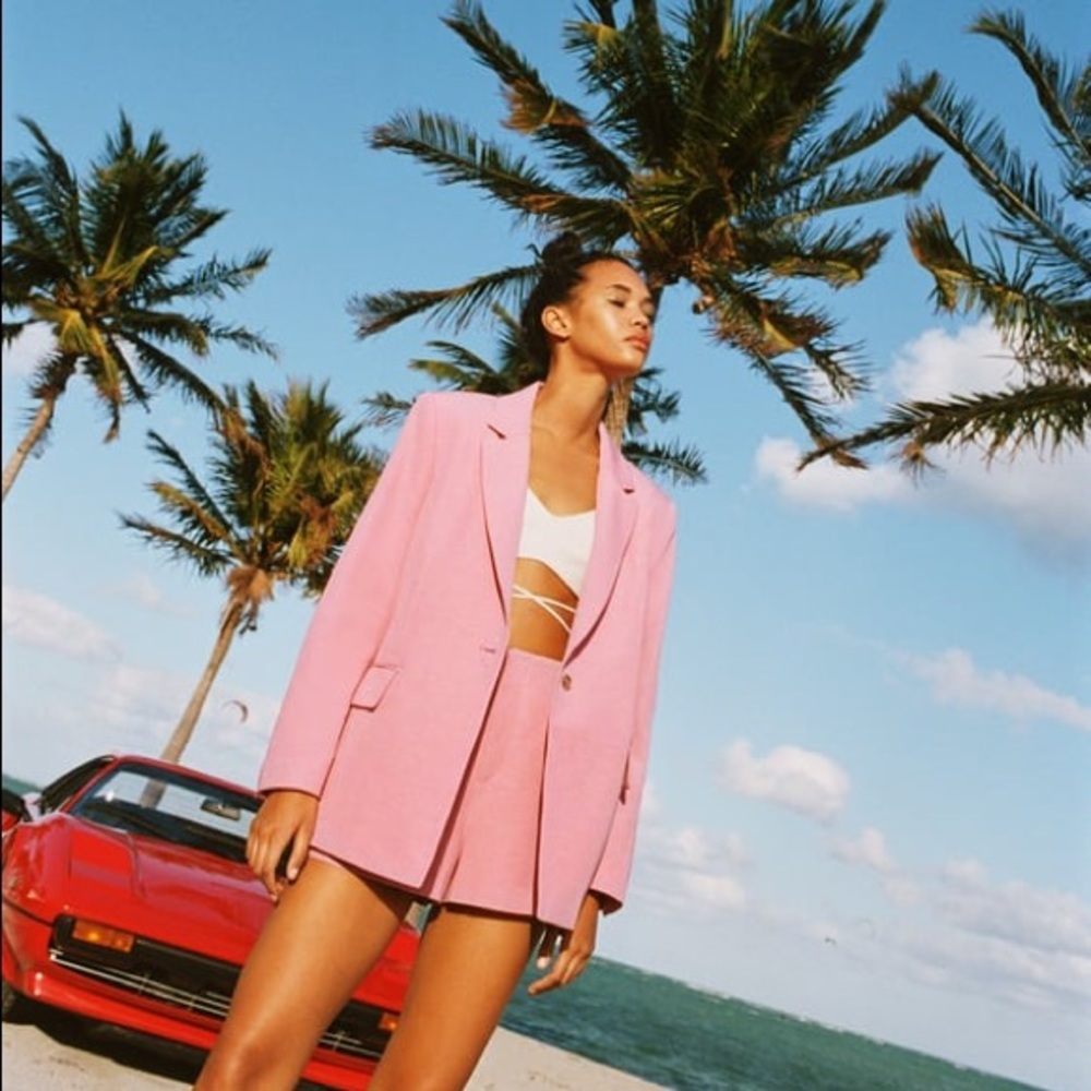 Zara Linen Blend Blazer (Pink Size Large)